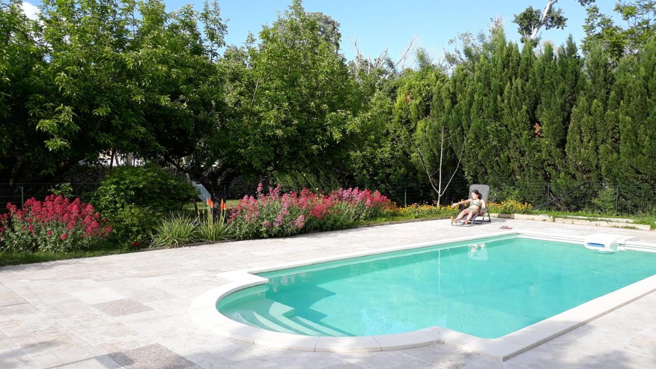 Duplex Cosy Confort Piscine Caderousse Экстерьер фото